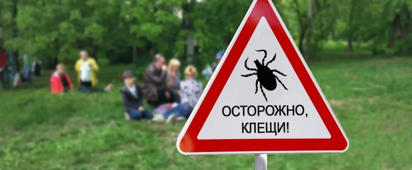 Внимание!
 
С апреля на территории Архангельской области начинается сезон клещевой активности, котор