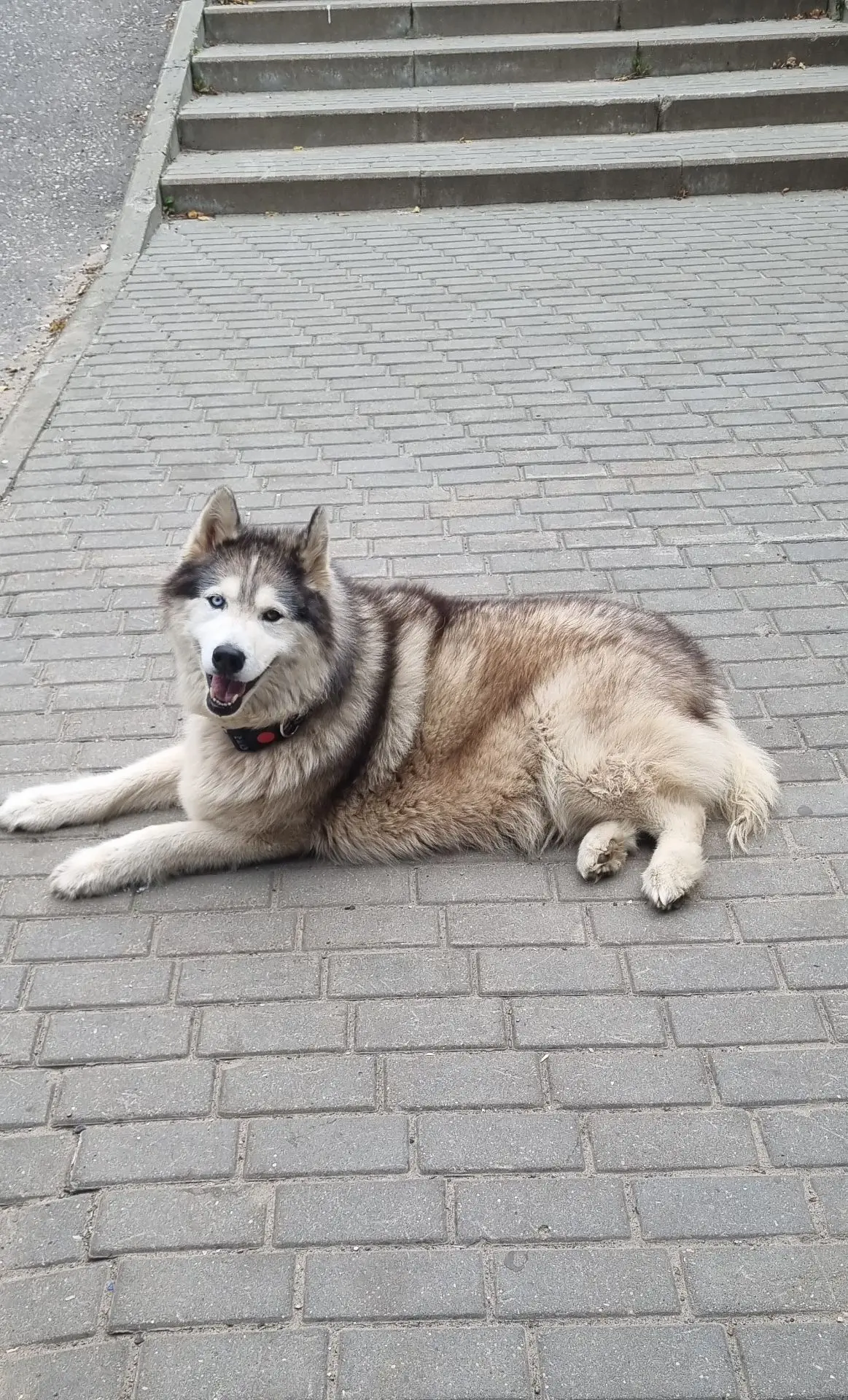 Чей красавчик? У ДНС сидит