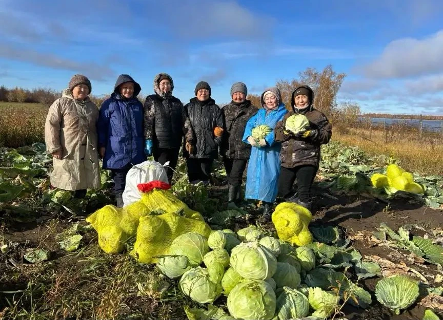 Урожай собирай и на зиму запасай!🥬🥔🫑🥕
