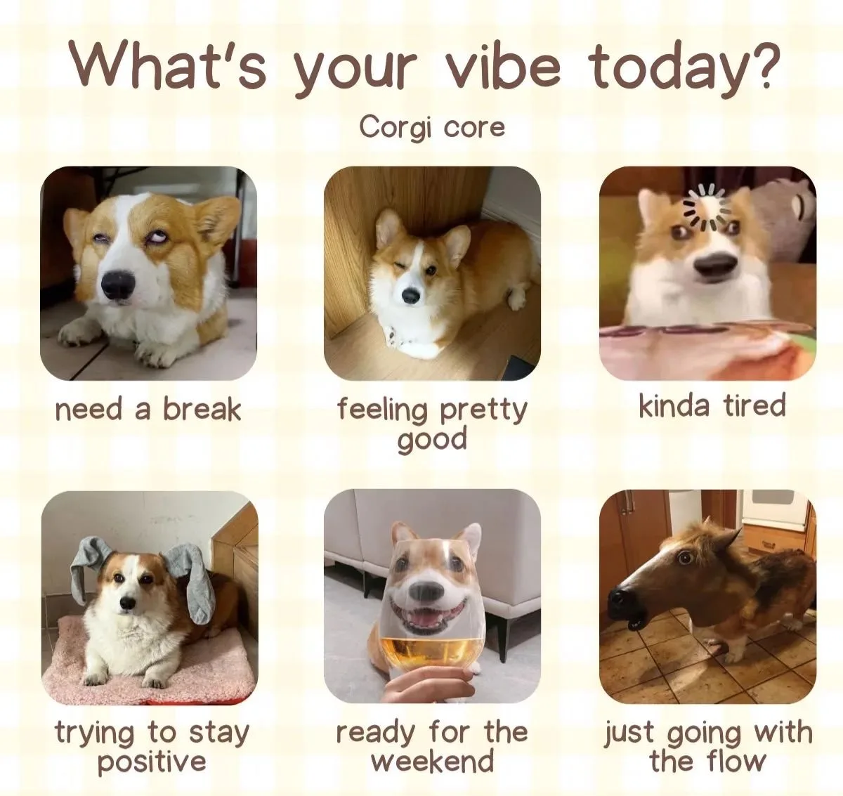 What’s your vibe today?