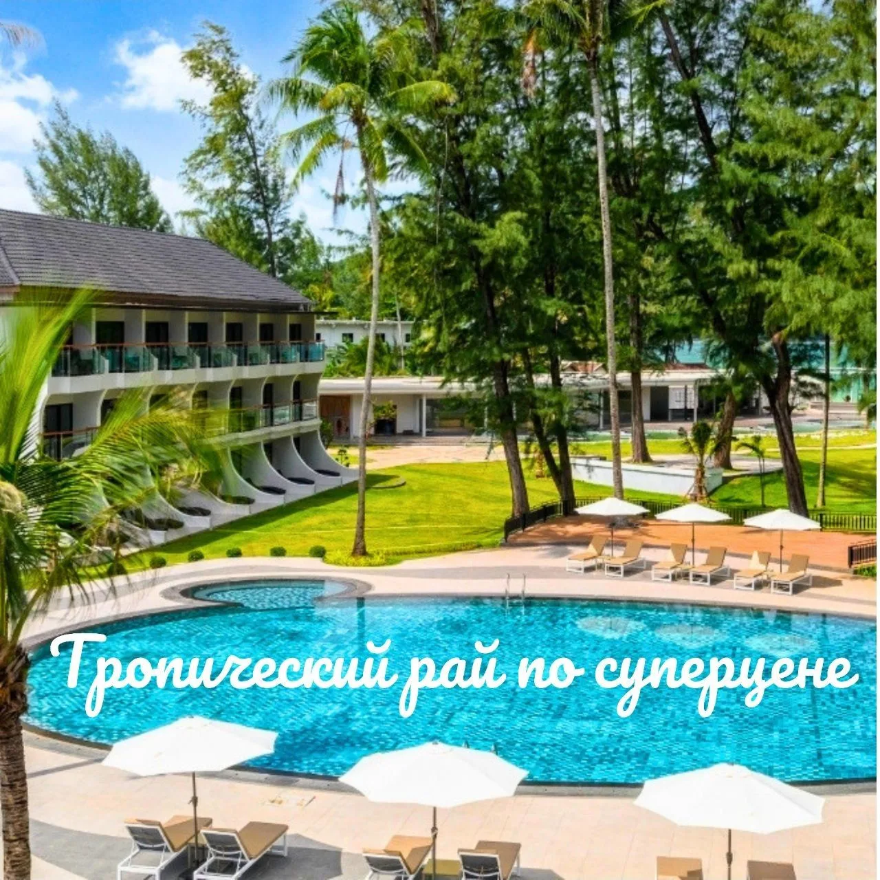 🌴 AMORA BEACH 5* — обновлённый отель на первой линии одного из лучших пляжей Пхукета -...