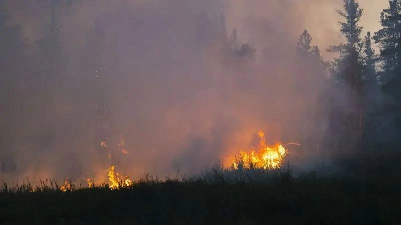 🌳🔥 Огонь охватил свыше 12 тысяч гектаров ямальских лесов

Лесопожарная обстановка на Ямале остаётс