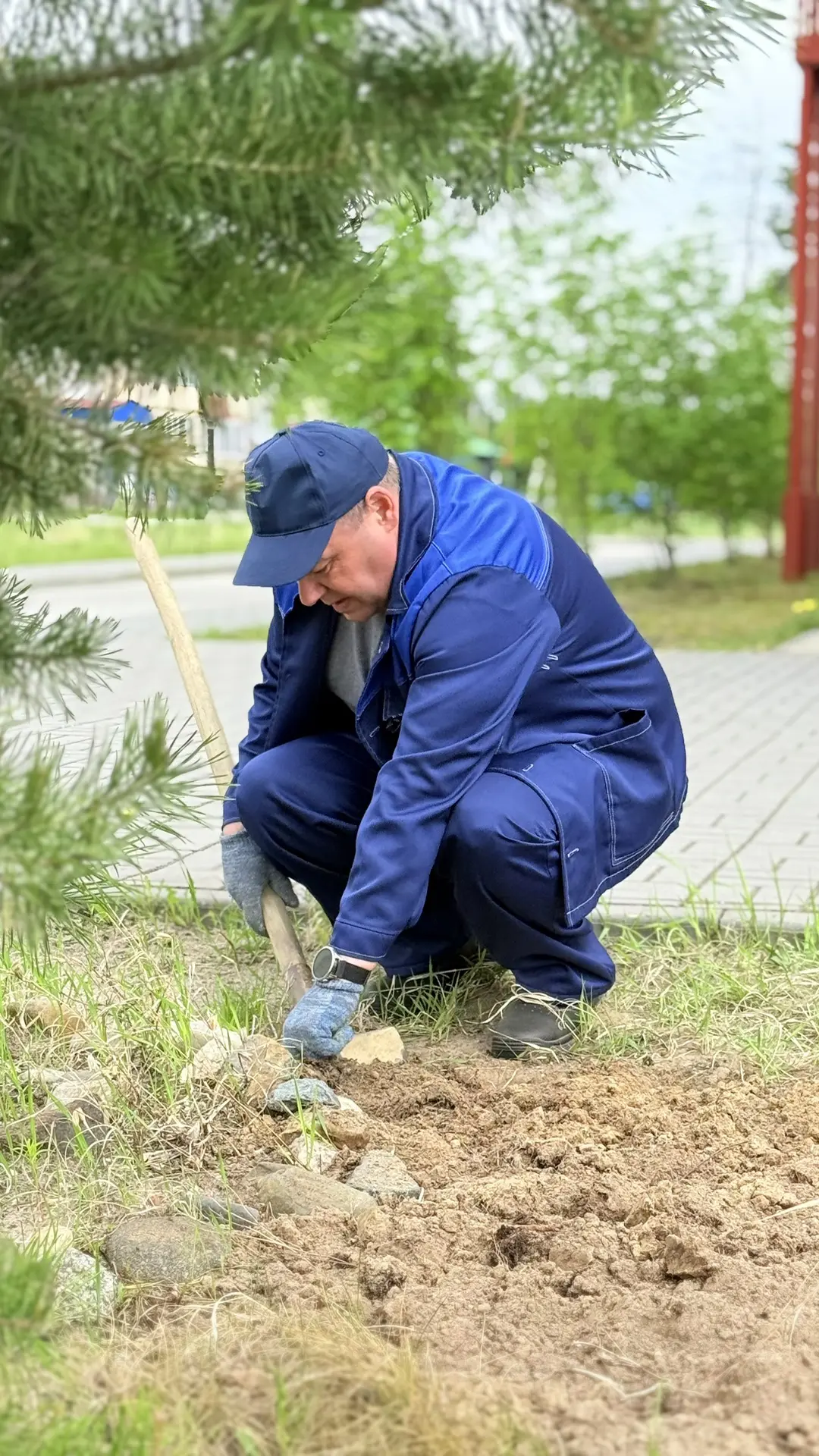 🌸🌿 Сорум цветёт и пахнет! 🌿🌸