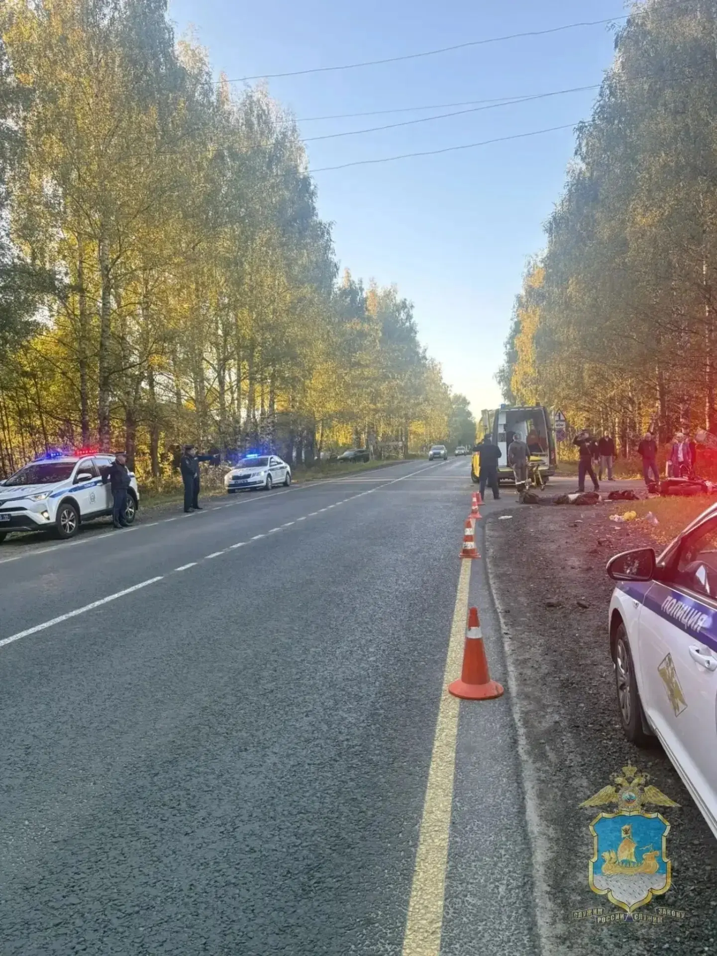 На трассе Кострома — Красное-на-Волге в результате ДТП погиб 65-летний мотоциклист. Ава...