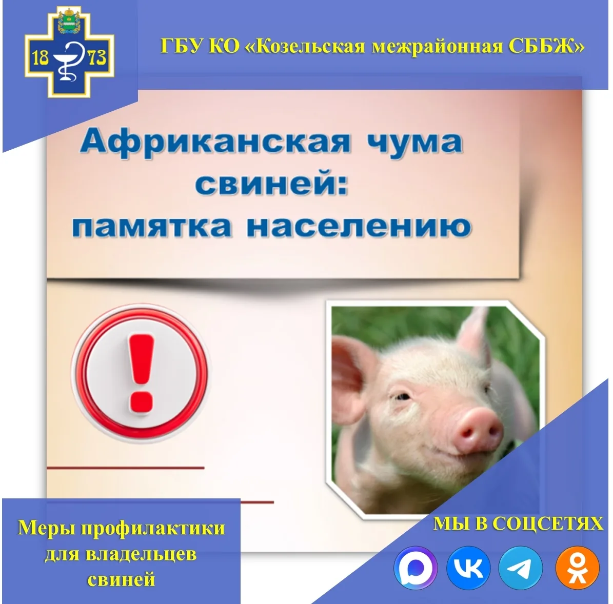 🐖МЕРЫ ПРОФИЛАКТИКИ ДЛЯ ВЛАДЕЛЬЦЕВ СВИНЕЙ: