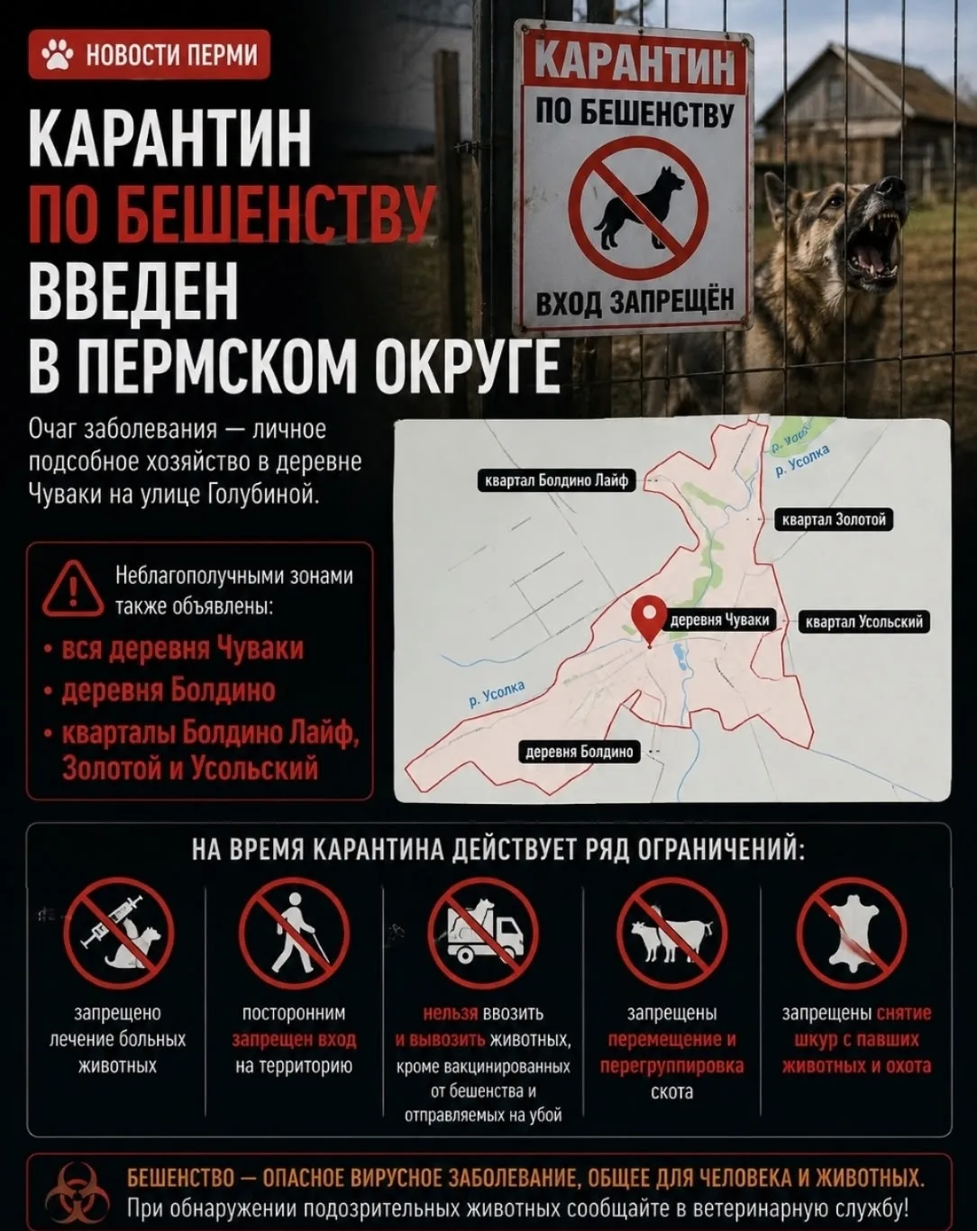 Карантин по бешенству введен в Пермском округе. Очаг заболевания — личное подсобное хоз...