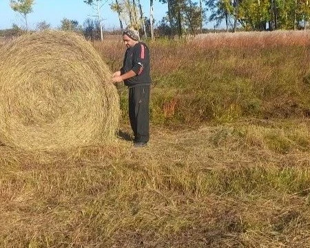 🐮 План по заготовке грубых кормов выполнил Биробиджанский район в ЕАО
