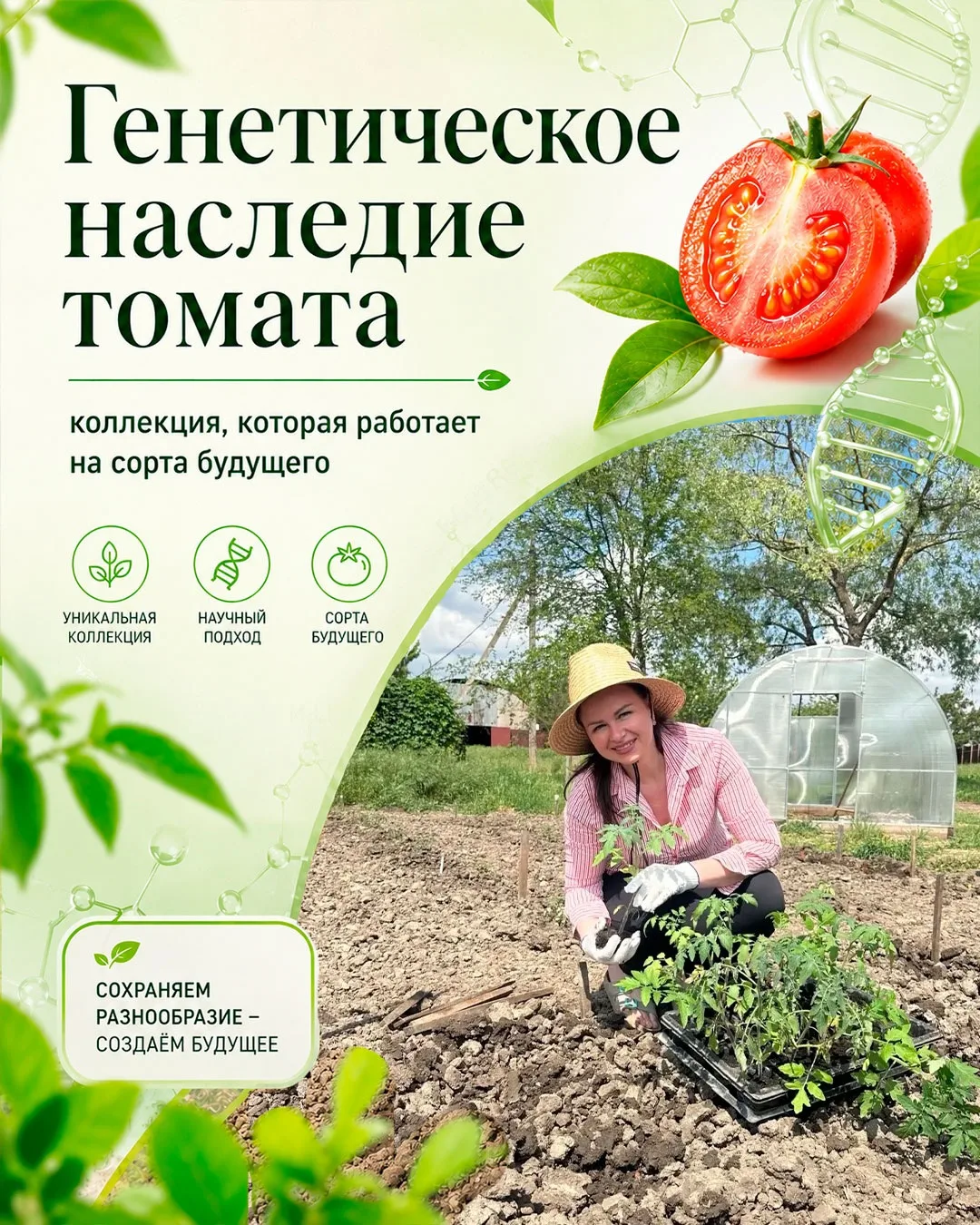 Семена, в которых хранится будущее отечественной селекции 🍅
