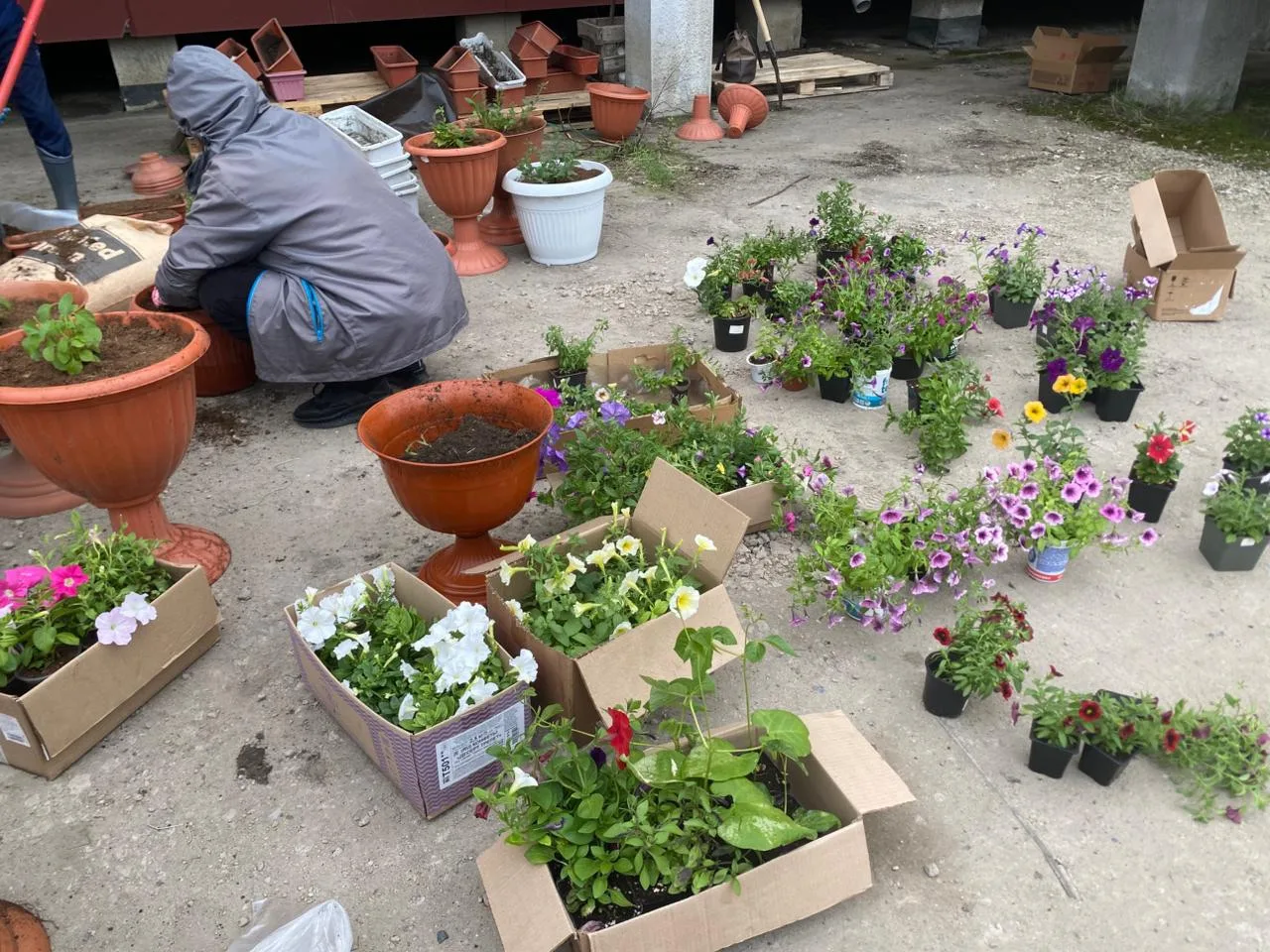 🌸🌼🌺Цветочное чудо в рамках марафона!