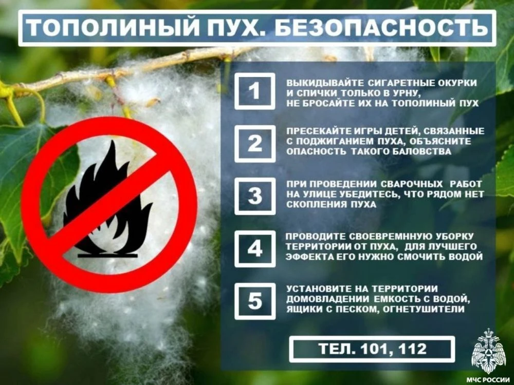 Тополиный пух — это серьезная и очень недооцененная пожарная опасность! Он горит стреми...