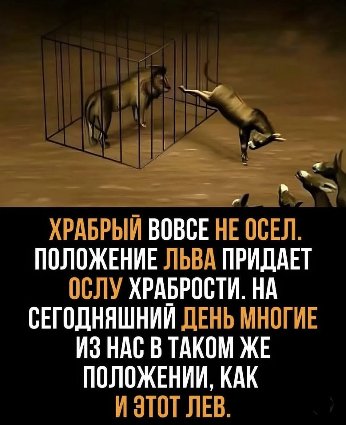 Вся суть социальных сетей…