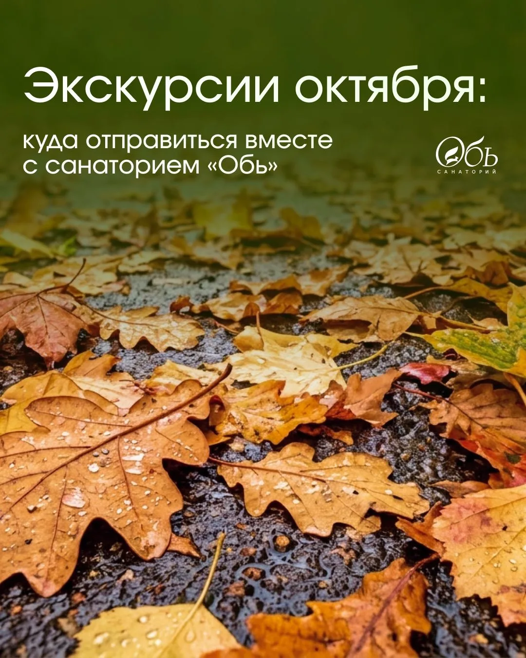 Октябрь — прекрасное время для прогулок и новых открытий. Осенний город особенно красив...
