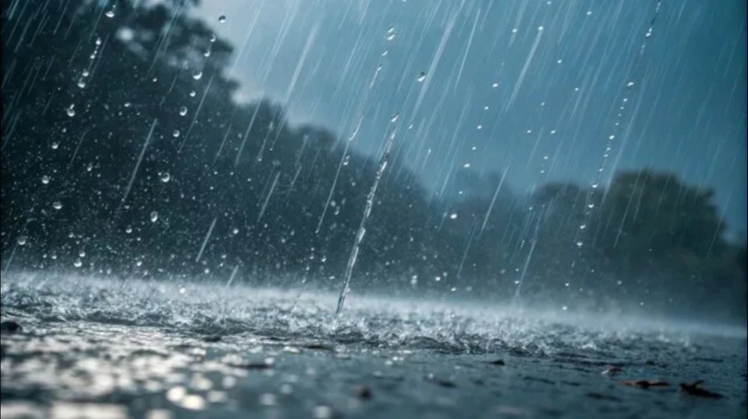 🌧 Ливни, грозы, град.