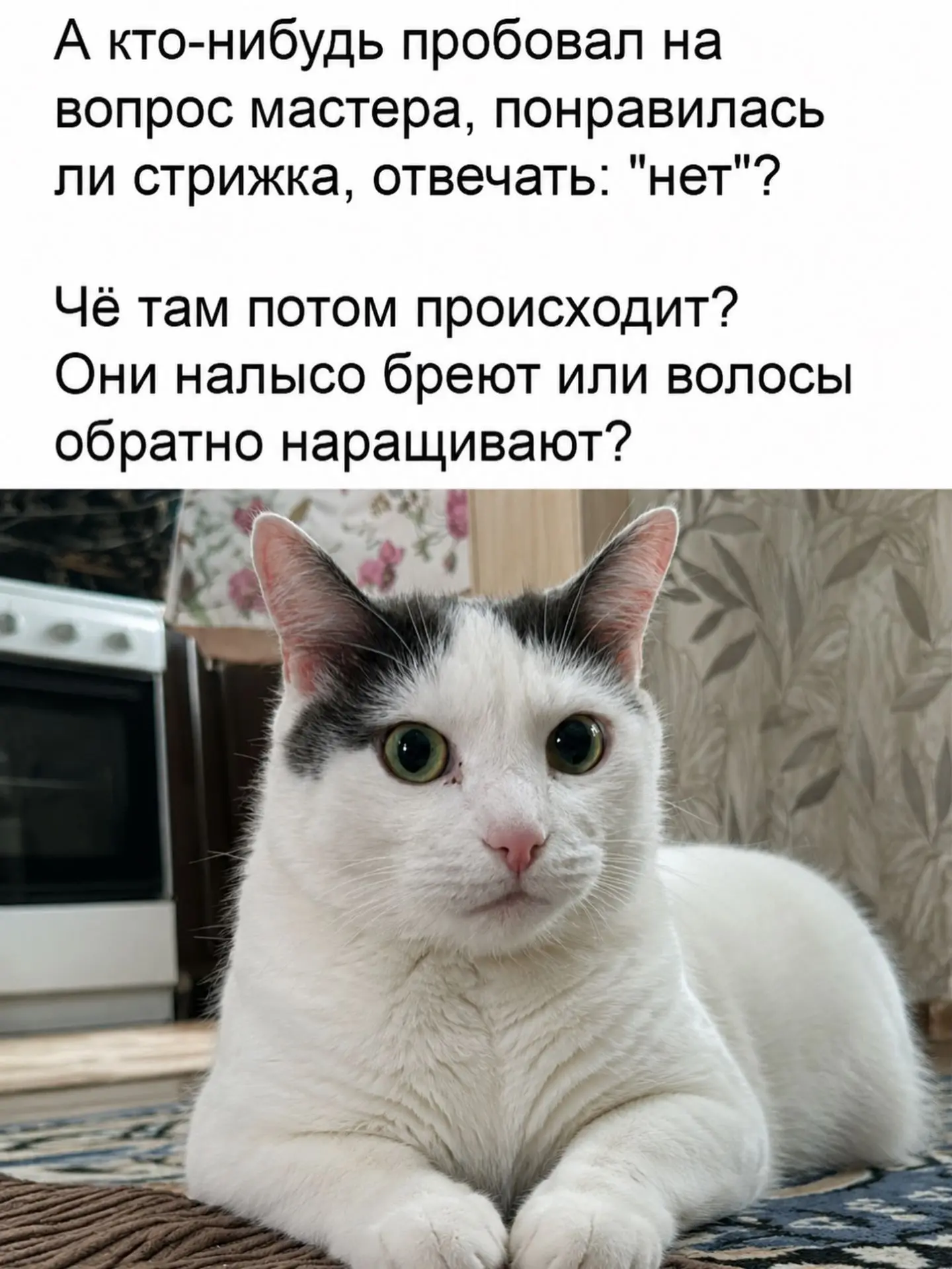 Подпишись на юмор 😂