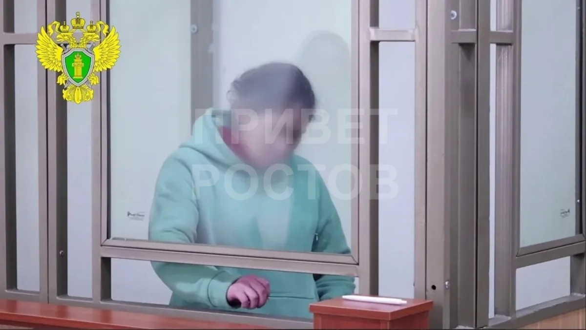 На Дону суд вынес приговор местной жительнице, которая ударила ножом в грудь своего нет...