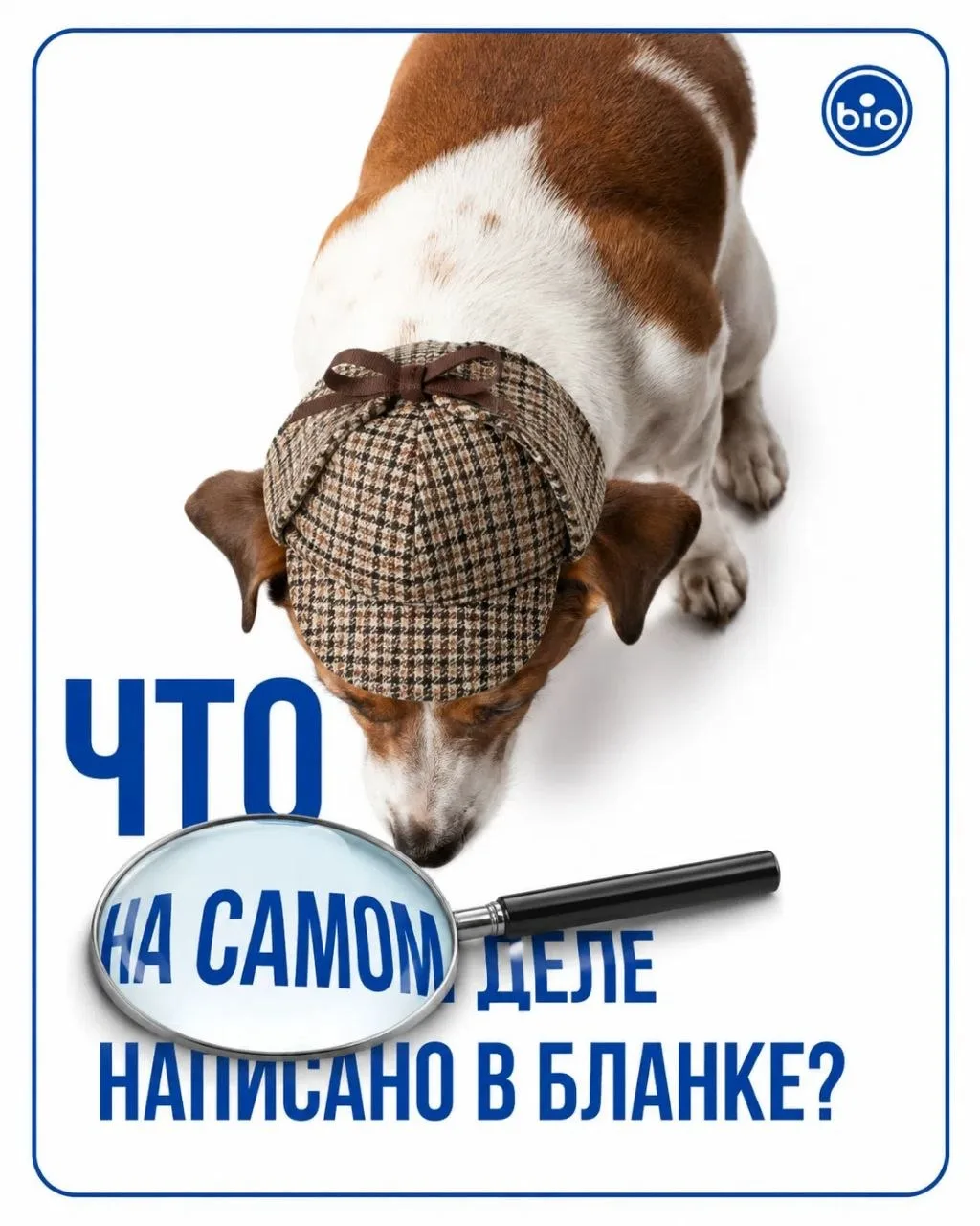 Клинический случай: что показывает электрофорез белков.