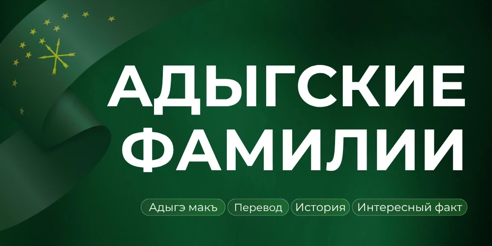 Что означают «шкура» и «голова» в адыгских фамилиях?

▪ Чэмышъо (Чемсо) — «коровья шкура»;
▪ Блэшъо 