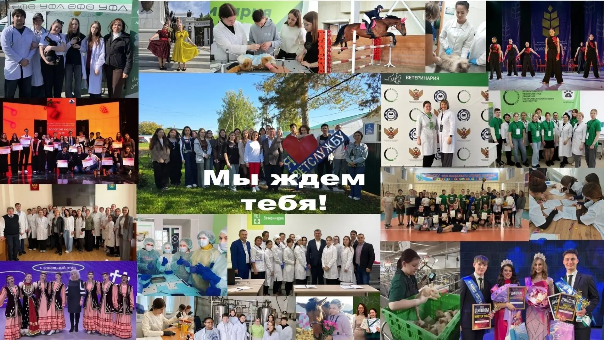 Еще немного считанных недель учебы, итоговые экзамены, и вот, ты уже почти студент! Воз...