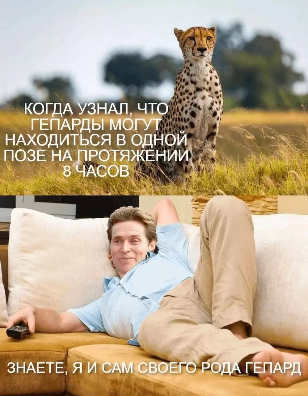С радостью и оптимизмом начинаем новую рабочую неделю! ☺️☀️ 

Пусть она пройдет в легкости 🧘‍♀️ 

#