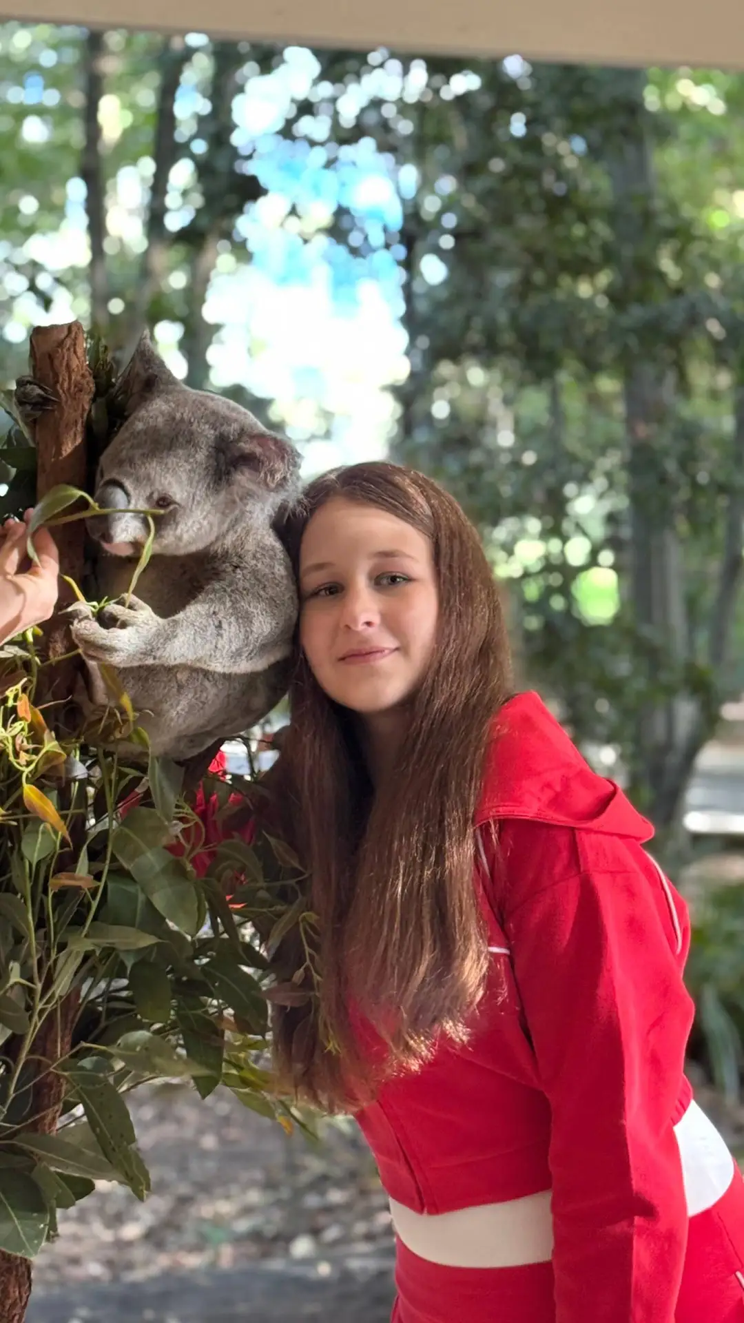 🇦🇺 День в австралийском парке животных: встреча с кенгуру и коалами!