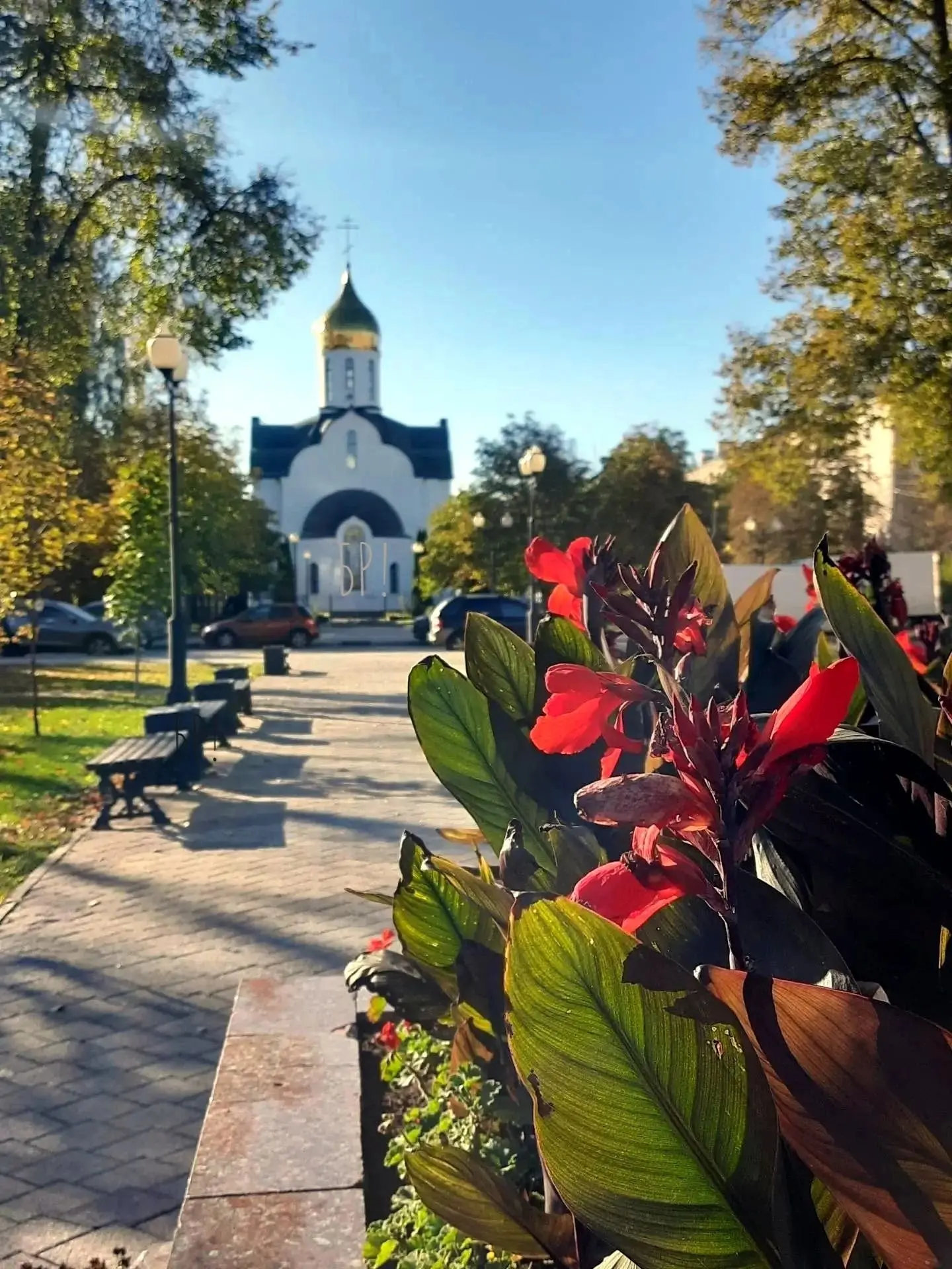 🍂С добрым утром, Балашиха!