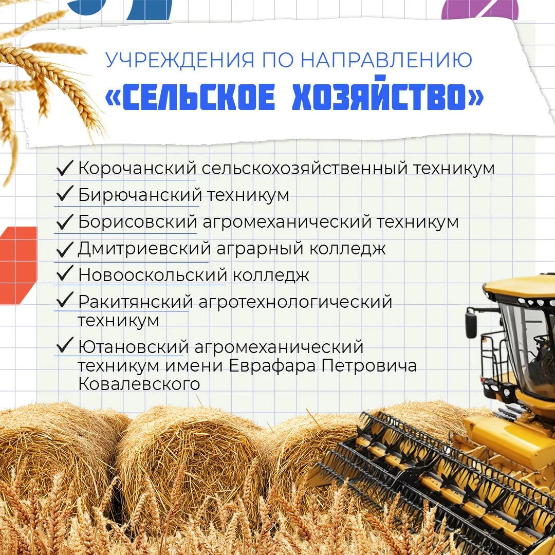 Хотите узнать о востребованных профессиях и перспективах трудоустройства?  Школьников 8-11 классов, 