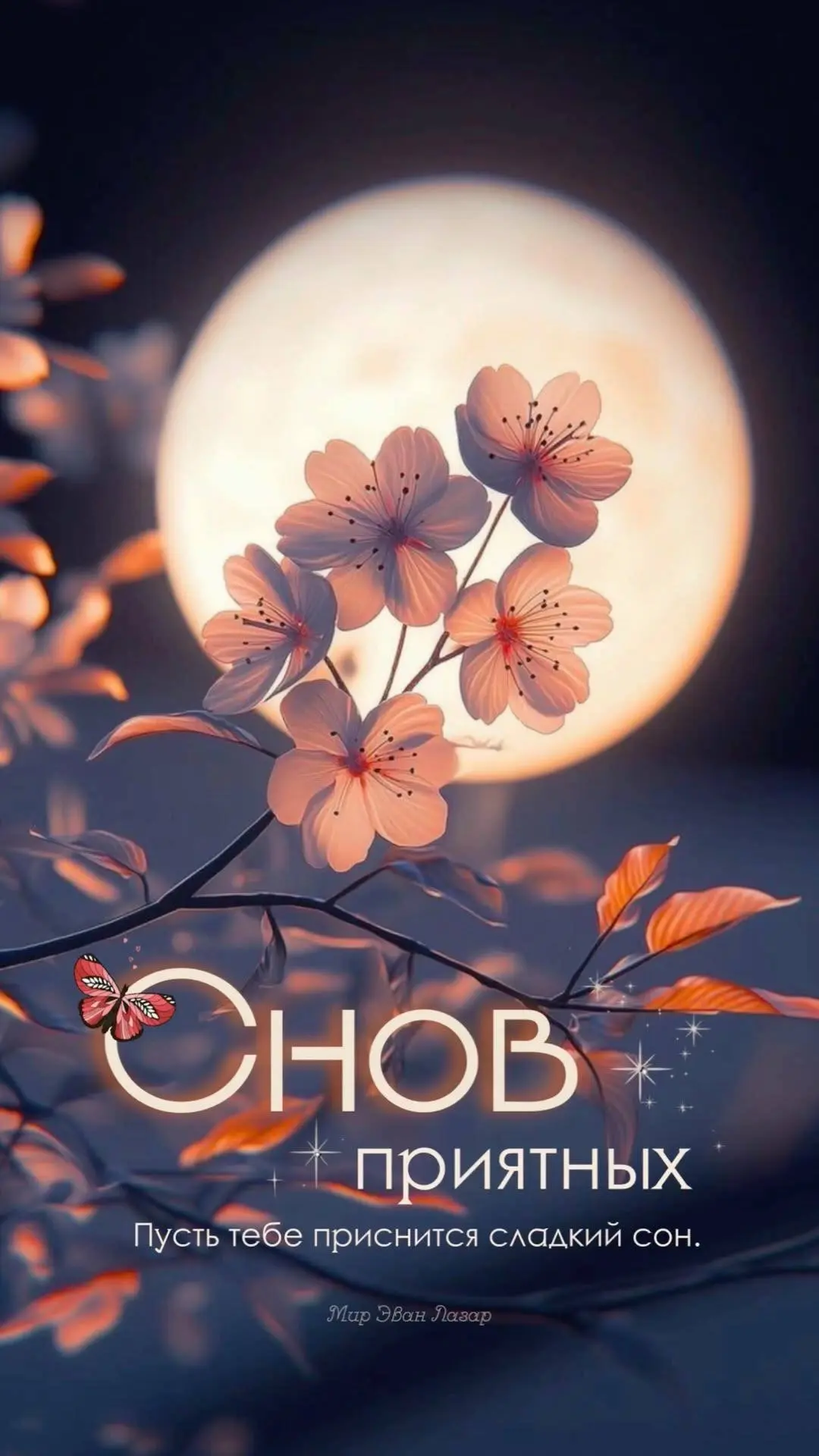 #СпокойнойНочи

Поздравления💌Подписаться

👉Выплаты и Льготы