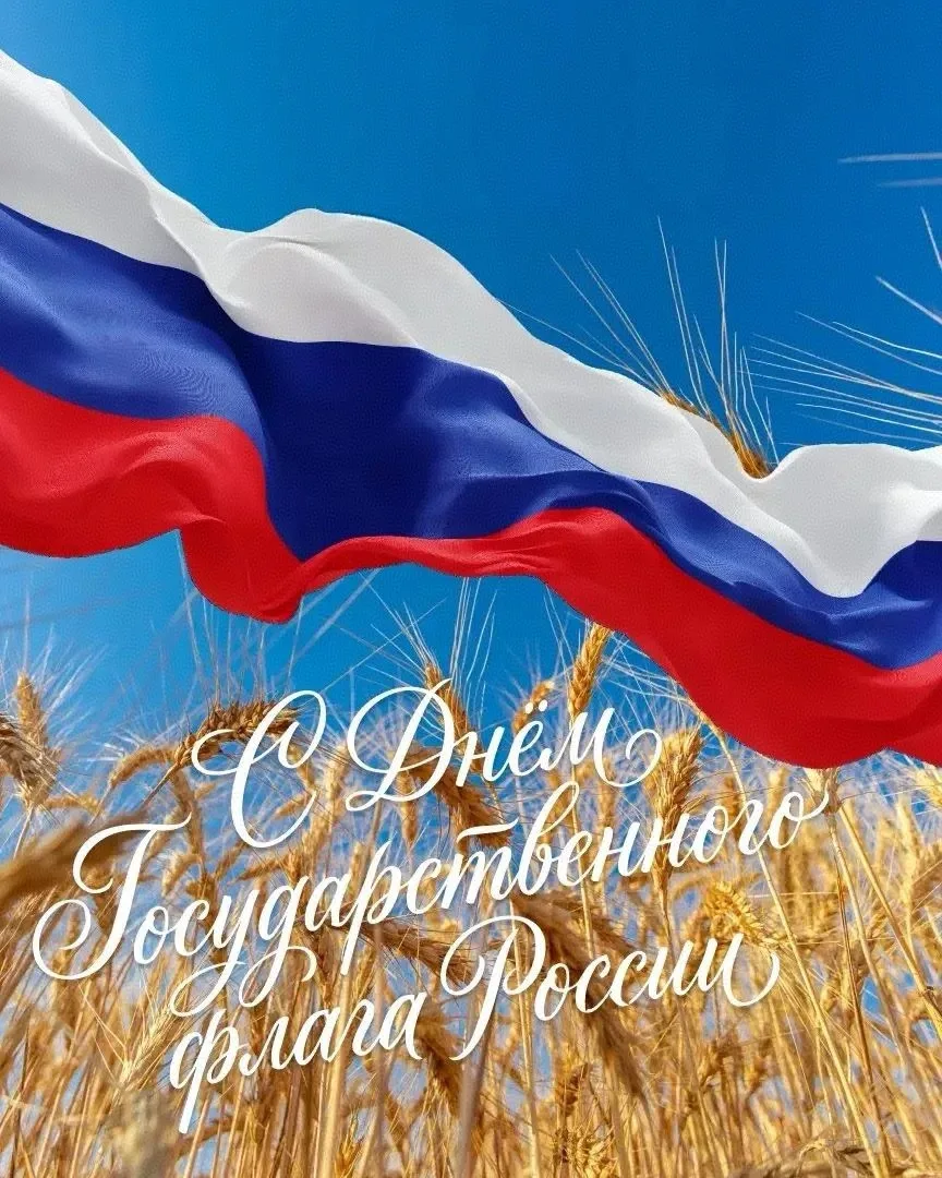 🇷🇺 Сегодня, 22 августа, отмечаем День Государственного флага России. Белый, синий и к...