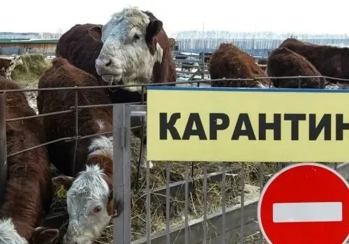 📣О правилах перемещения