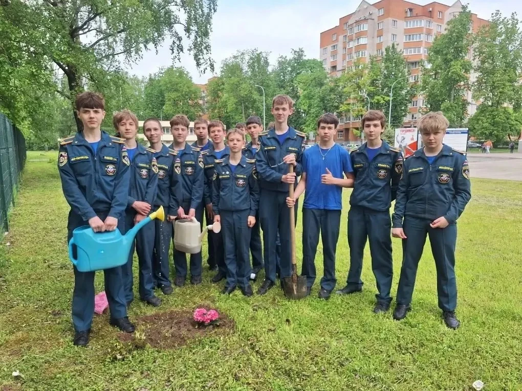 🌺Сад гортензий: цветы памяти и благодарности🌺