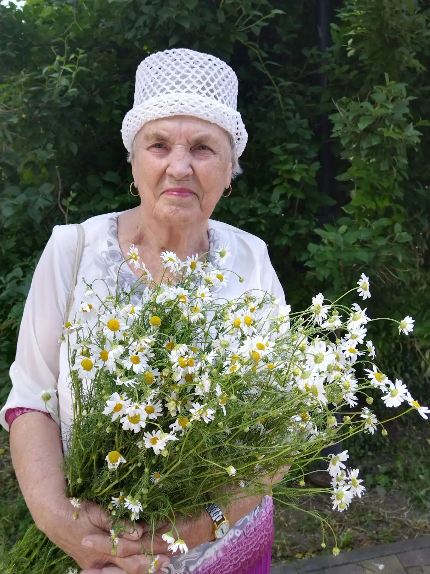 Уличная акция "Ромашки нежный лепесток"                           #Родныелюбимые