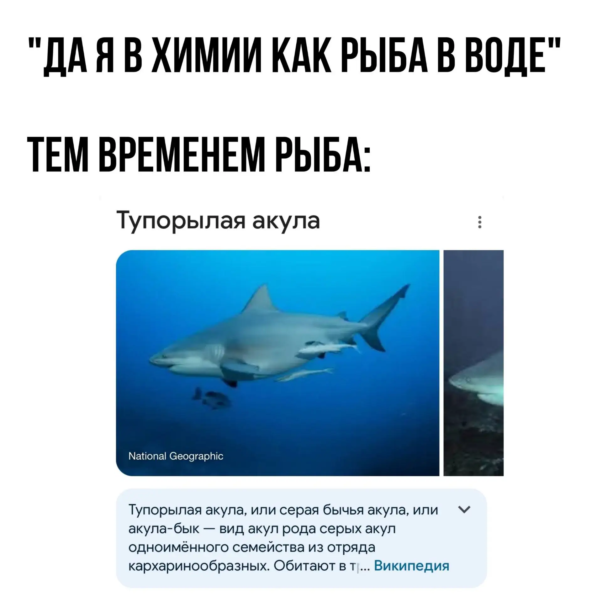 А в физике вообще как уж на сковородке 🐋😈