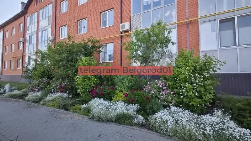 В Северном местные жители облагородили газон у окон своей квартиры 🌹
