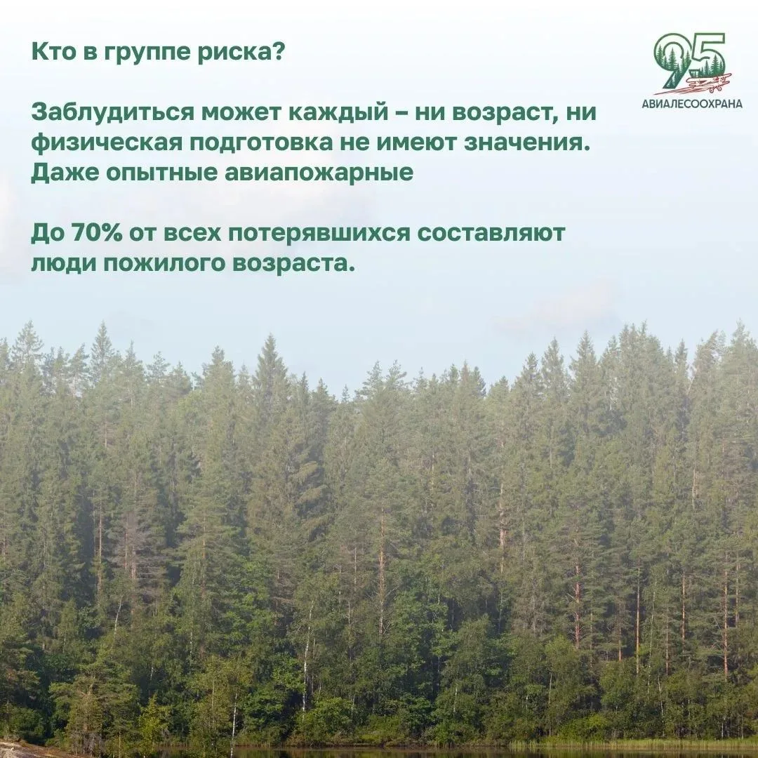🌳🌲Каждый год леса России манят своей красотой, но, к сожалению, и становятся местом, ...