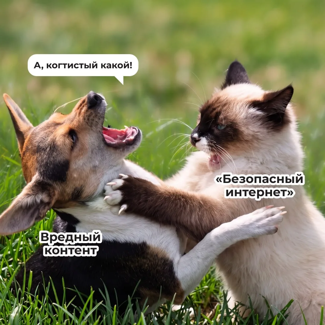 Представьте ситуацию (заранее тьфу-тьфу-тьфу): ребенок поговорил с мошенником. Вроде ка...