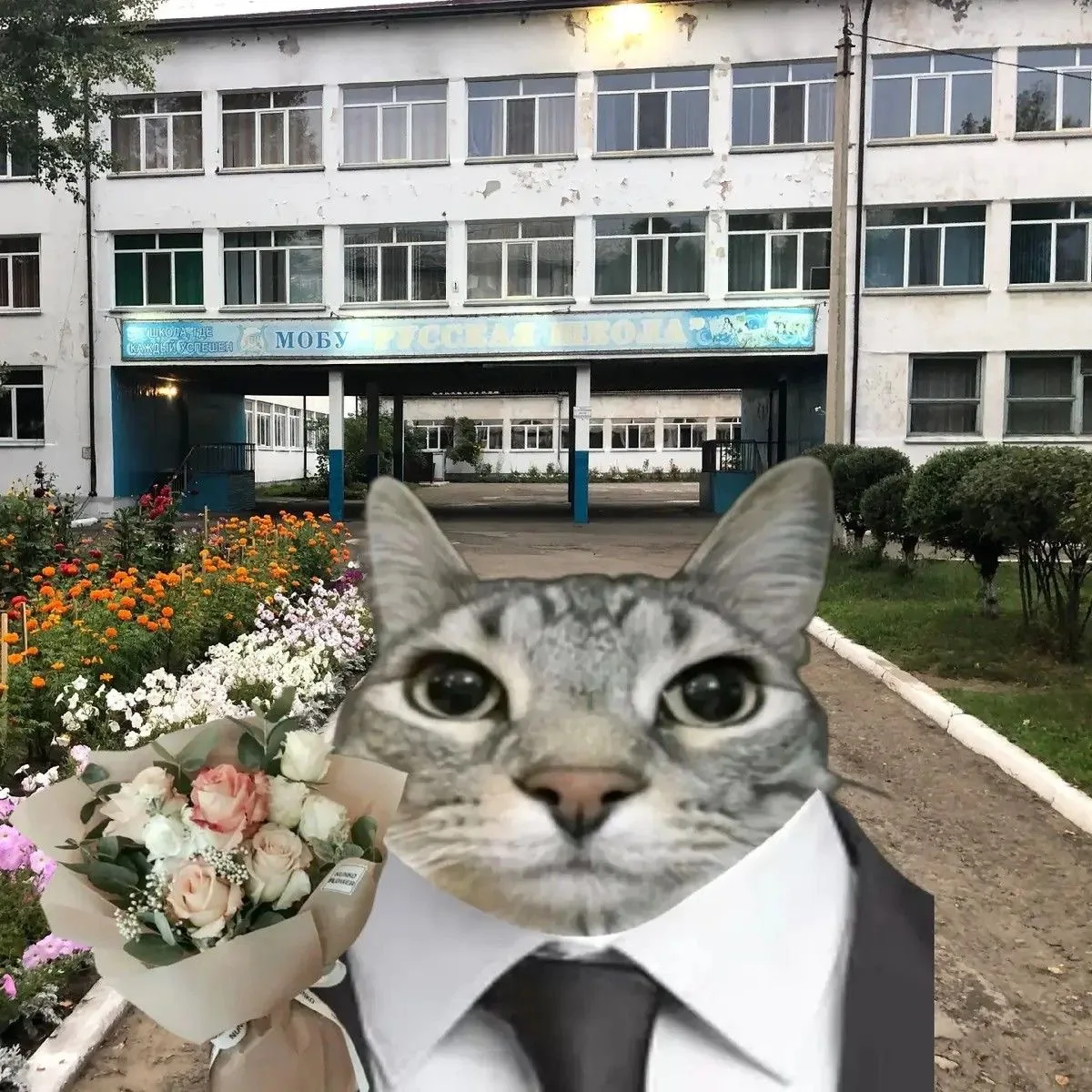 📚 Ну что, поехали в новый учебный год?
