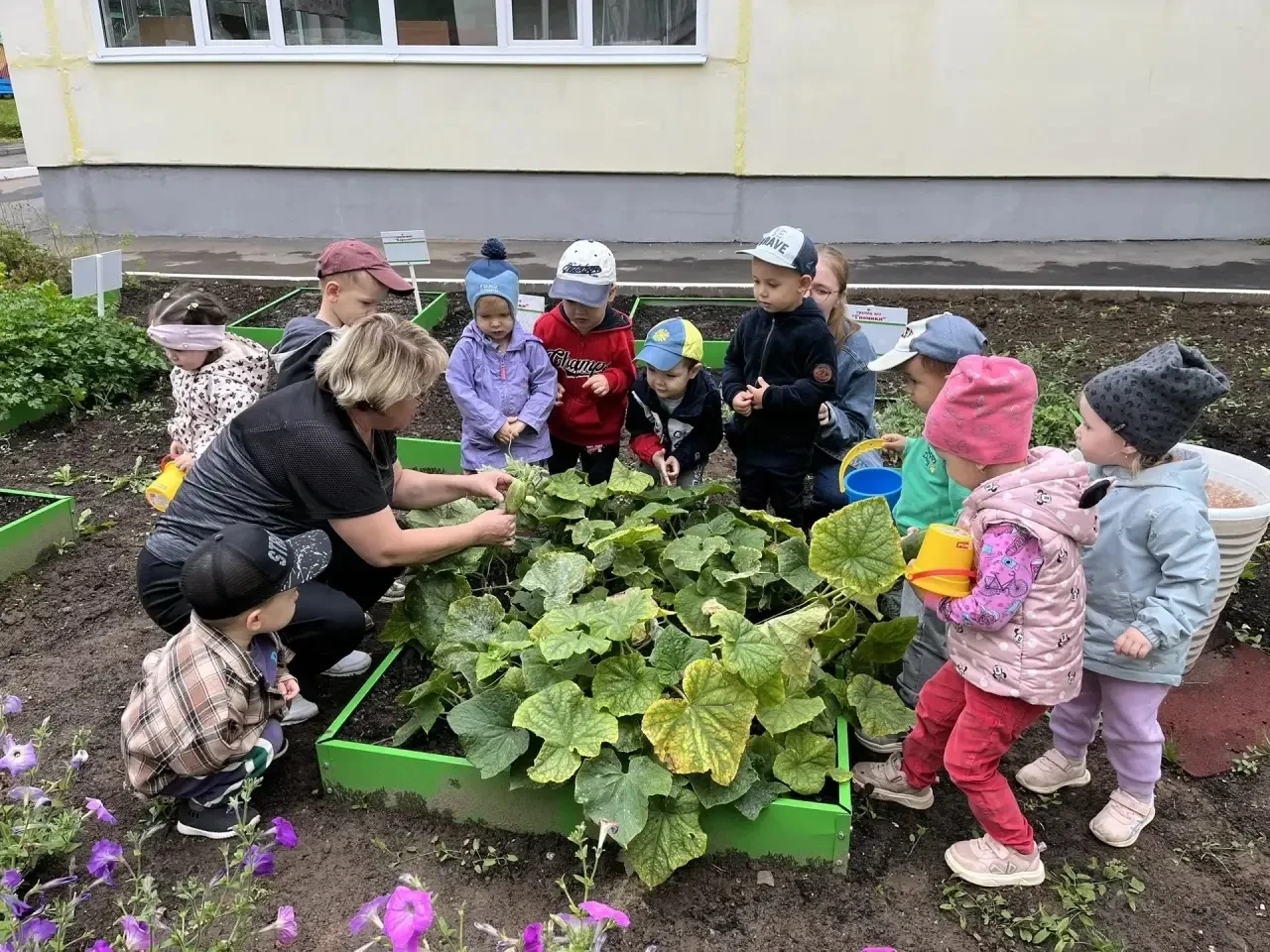 Наш урожай!
