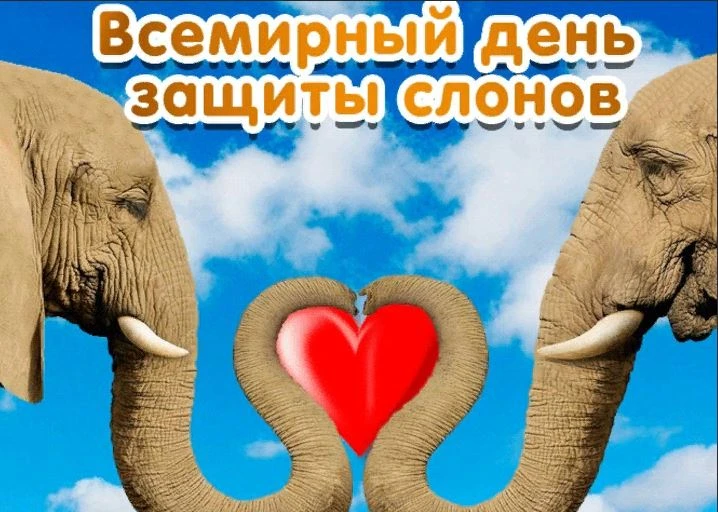 20 июня 2026 года, суббота: 
🐘Всемирный день защиты слонов в зоопарке,
🤹День жонглирования, 
День 