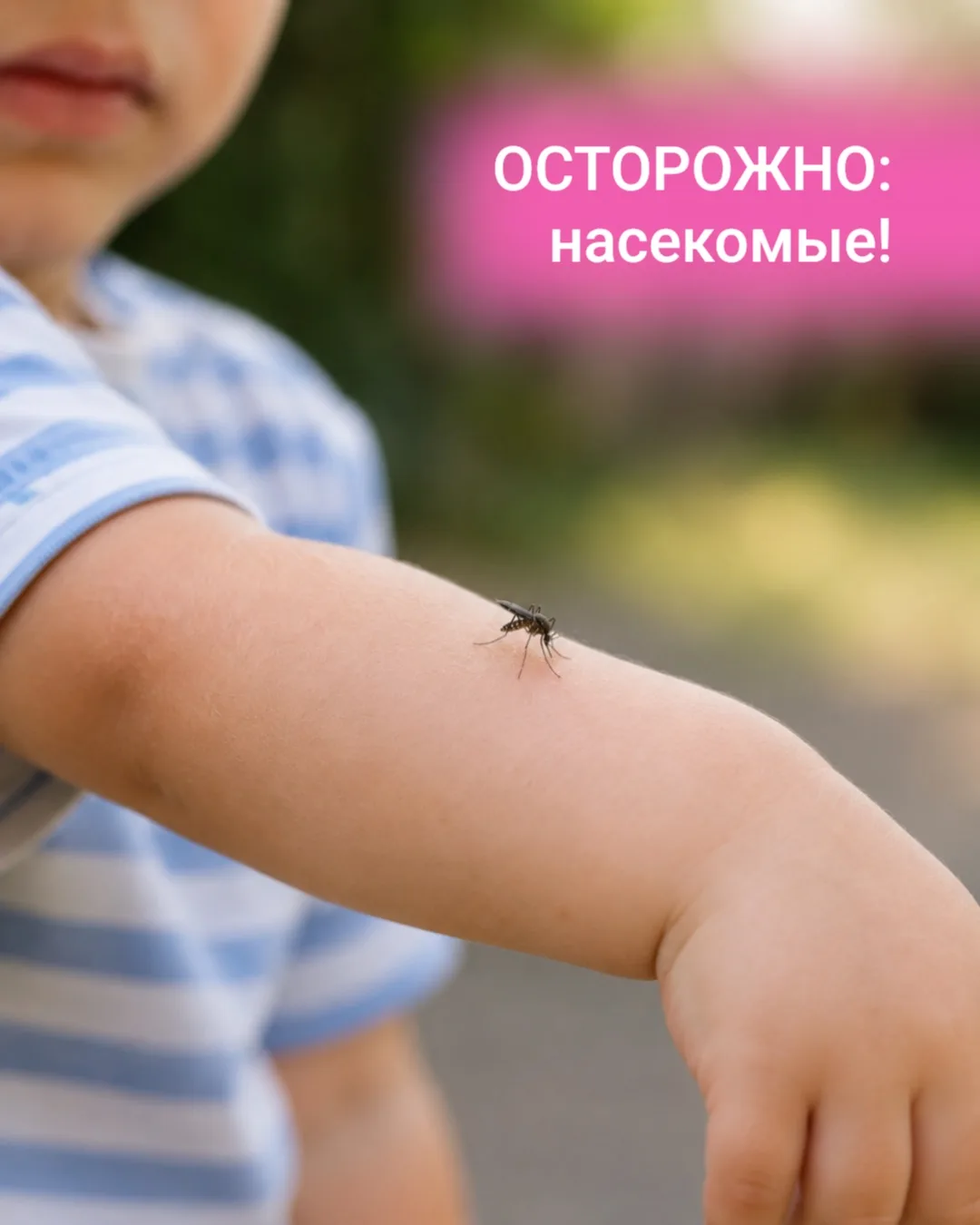 ОСТОРОЖНО: насекомые! 🦟