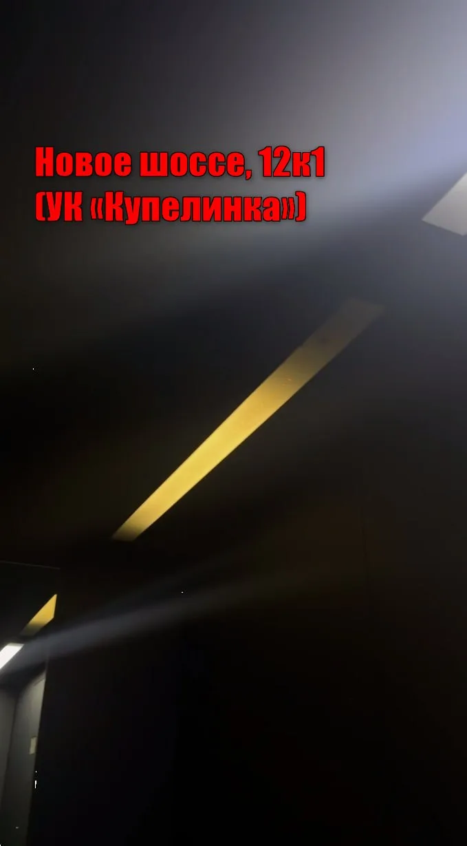 🚨 Жителям решили устроить «тёмную»? В темноте завелся пологрыз!