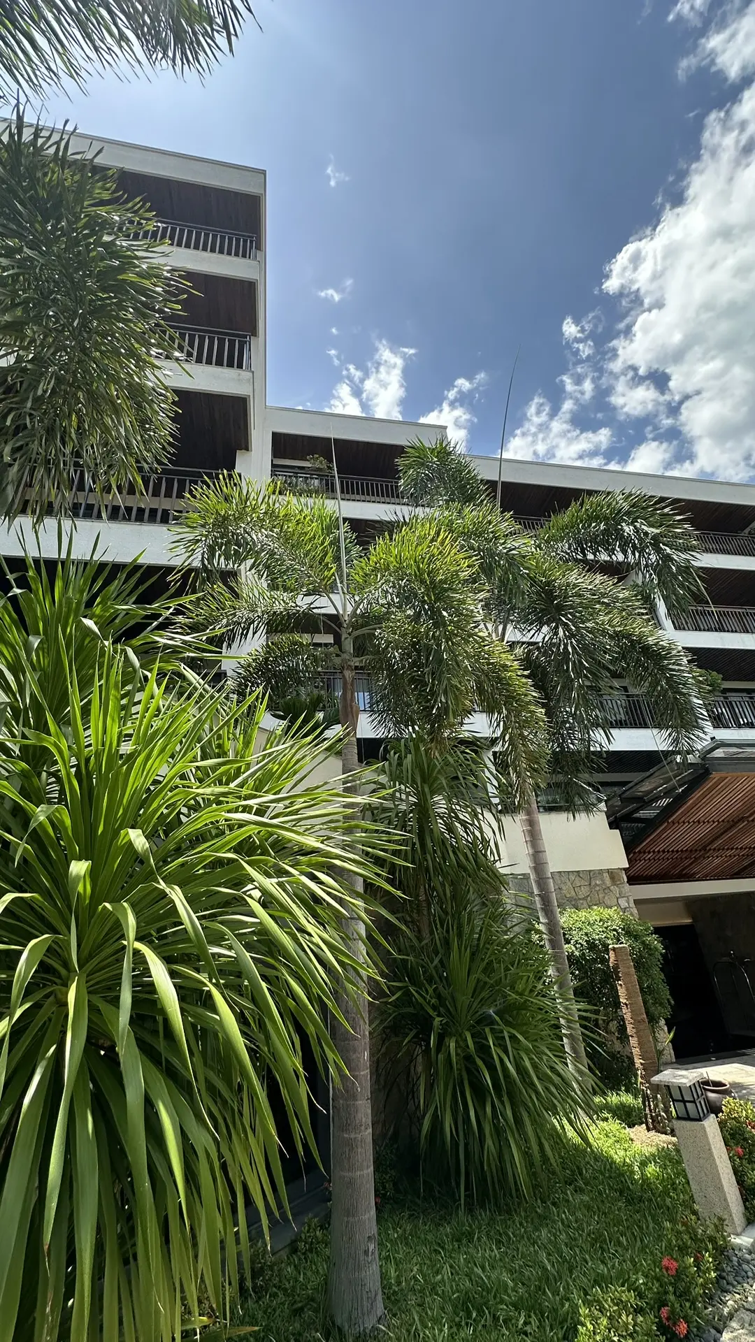 Отель Амиана Резорт (Amiana Resort) из рекламника ВЬЕТНАМ 24