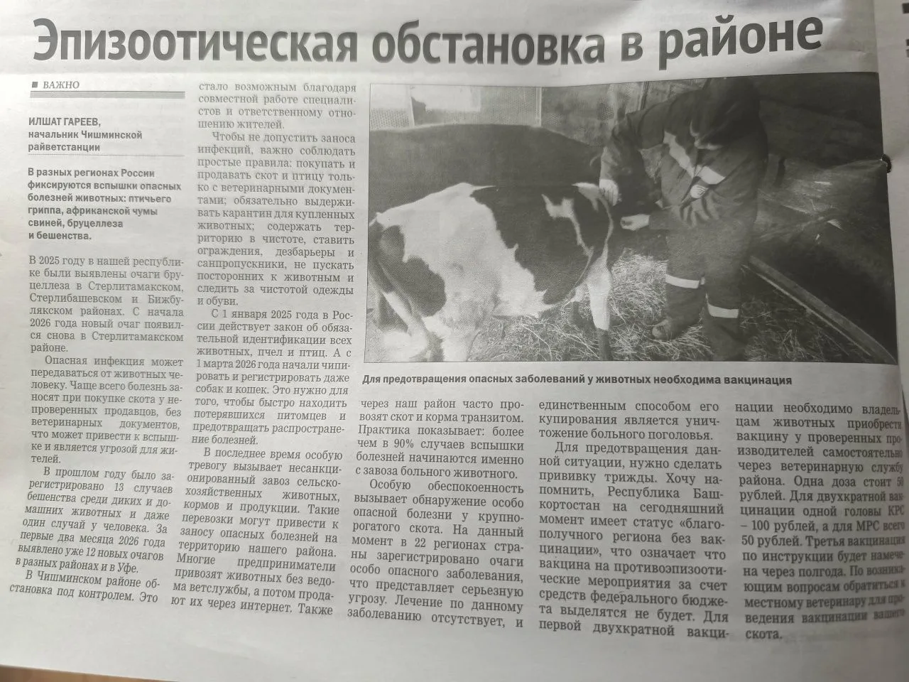 🗞 Статья в районной газете "Родник плюс"!