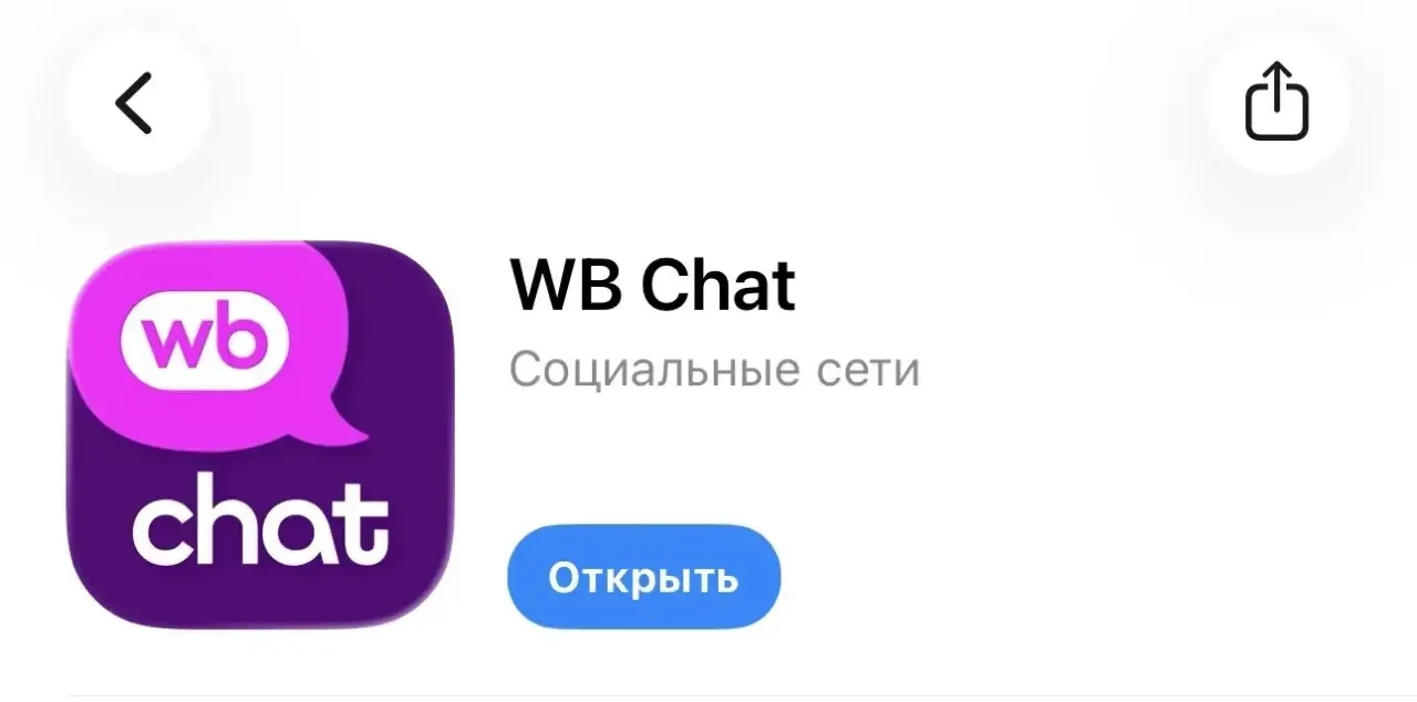 Что мы думаем на счет появления WB Chat?