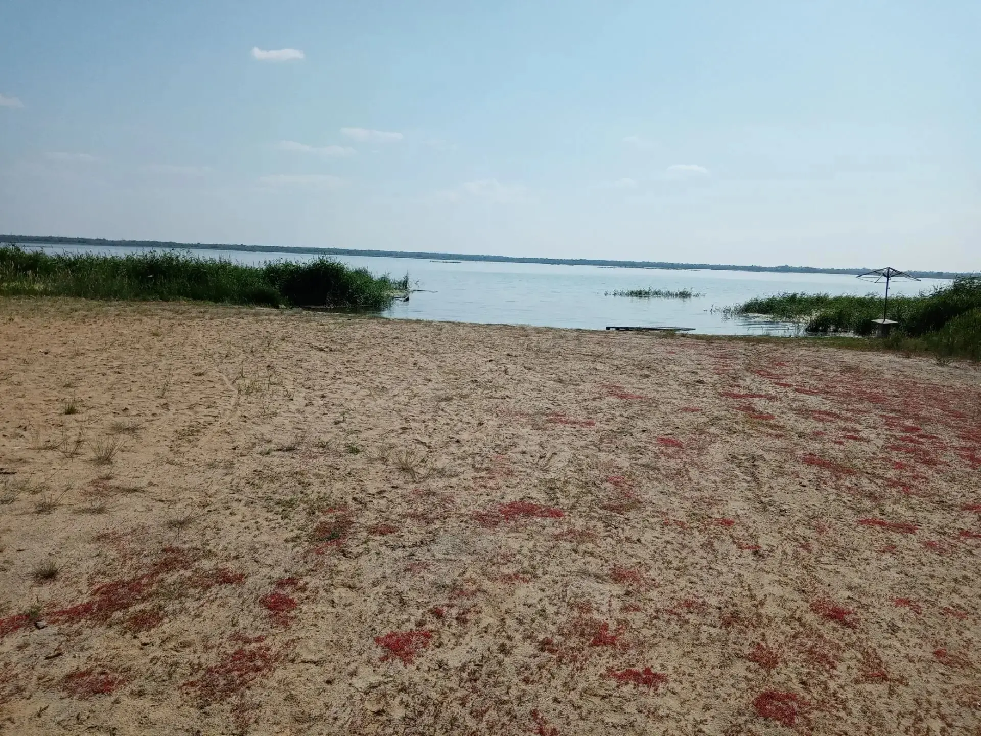 17 июня администрация МБОУ «СОШ № 13», советник директора по воспитанию и родители провели очередной
