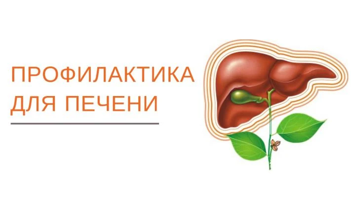 🎉 Неделя профилактики заболеваний печени: заботимся о главном «фильтре» организма! 🎉