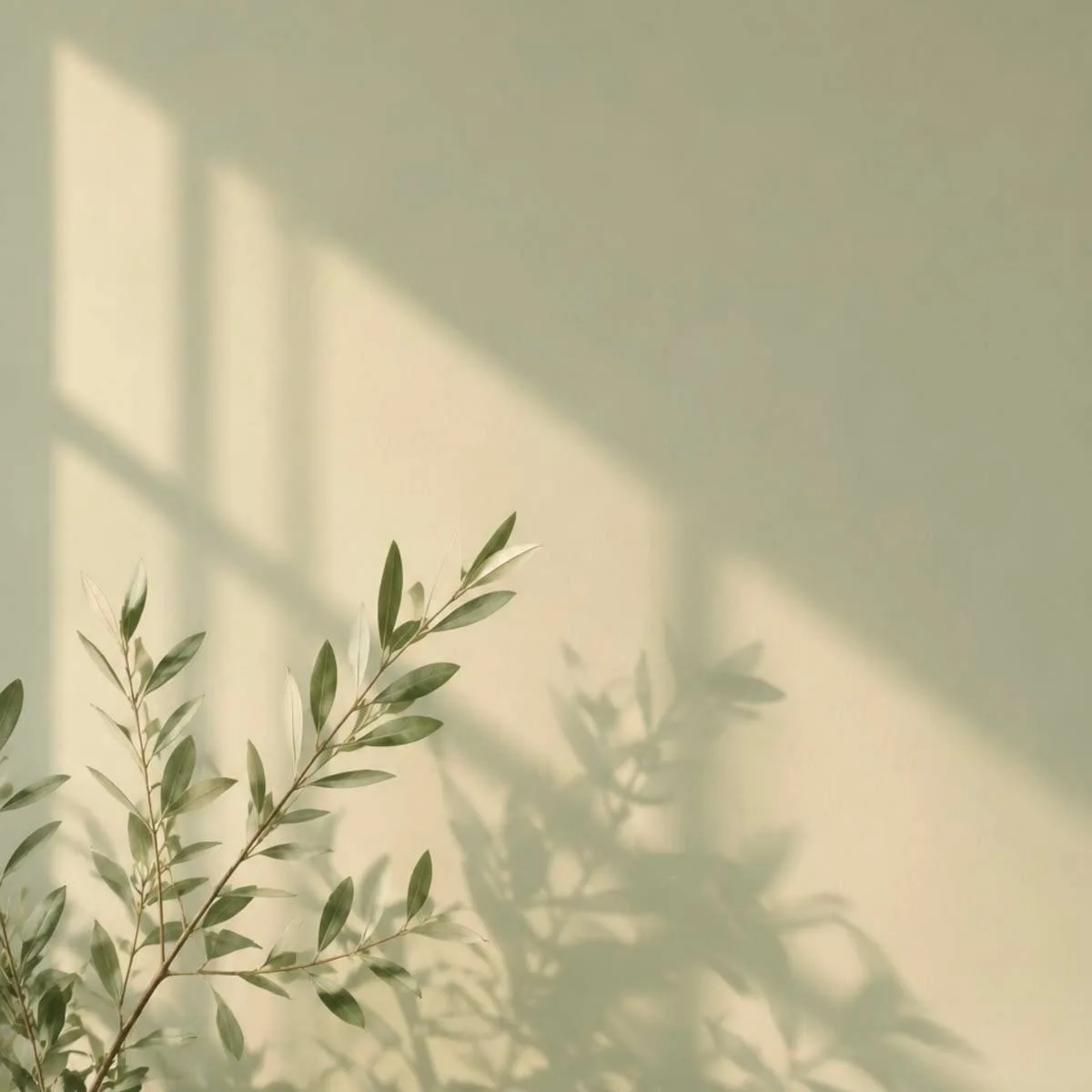 🫒ОТТЕНОК, ЛЕГКО ВЛЮБЛЯЮЩИЙ В СЕБЯ🍃