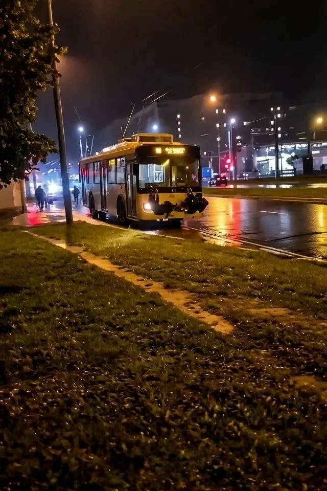 В Йошкар-Оле выявили подростков-зацеперов