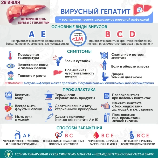 ЧТО ТАКОЕ  ГЕПАТИТ?
 В ПРЕДДВЕРИИ ВСЕМИРНОГО ДНЯ БОРЬБЫ  C  ВИРУСНЫМ ГЕПАТИТОМ, КОТОРЫЙ ОТМЕЧАЕТСЯ  