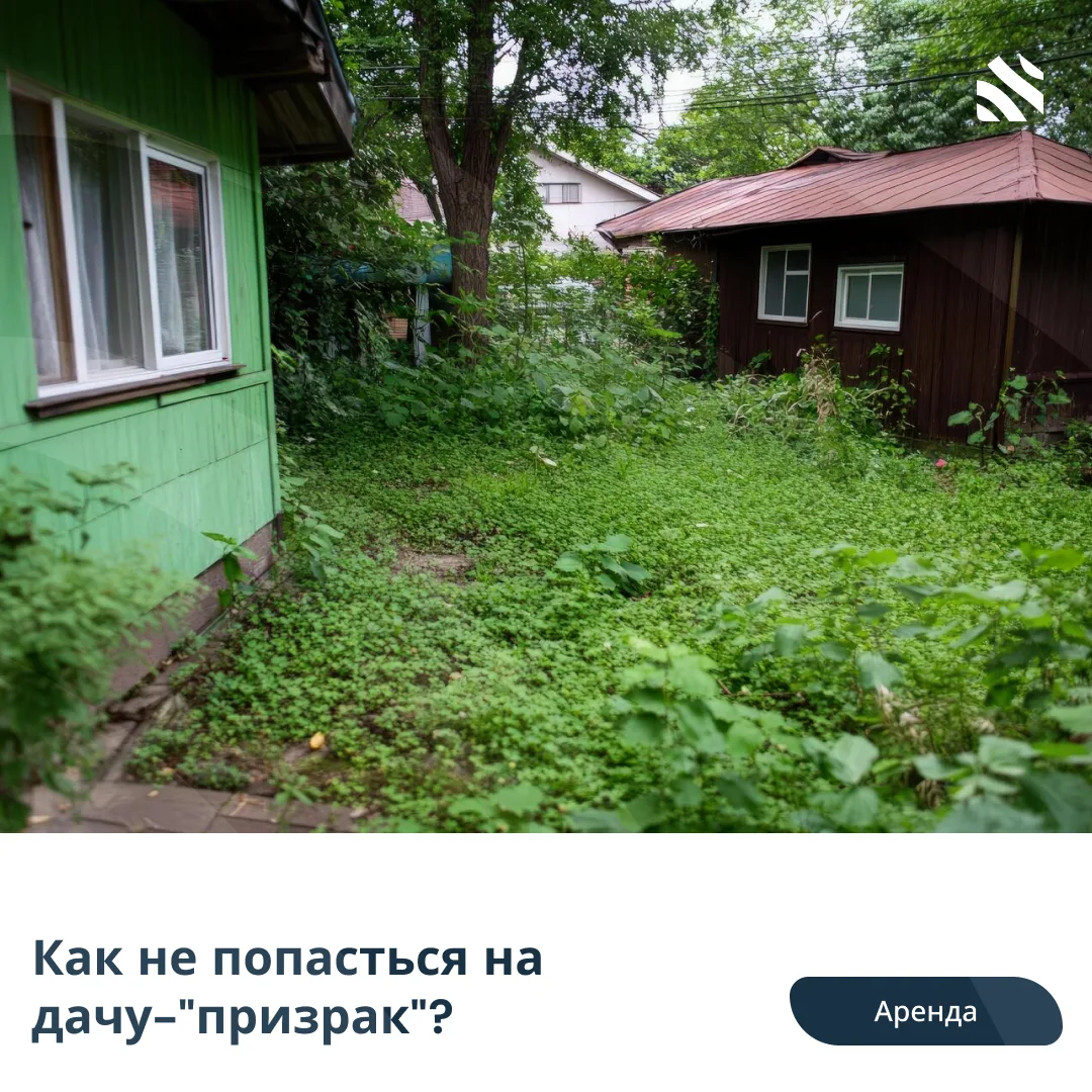 🤥Как не попасться на дачу-"призрак"?  Рынок аренды наводнили дачи-"призраки", когда после оформления