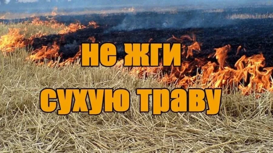 🔥Не жгите сухую траву!